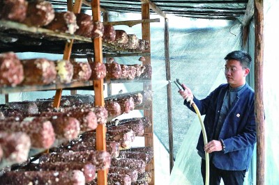 农耕文明,为建设农业强国提供丰厚滋养 农耕文明,为建设农业强国提供丰厚滋养