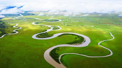 二〇二二 从十大热点看生态环境 二〇二二 从十大热点看生态环境